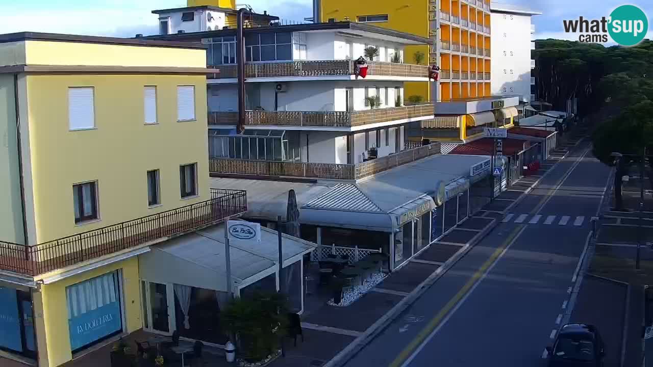 Livecam Rosolina mare