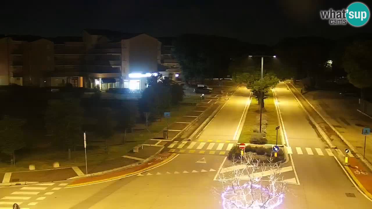 Livecam Rosolina mare