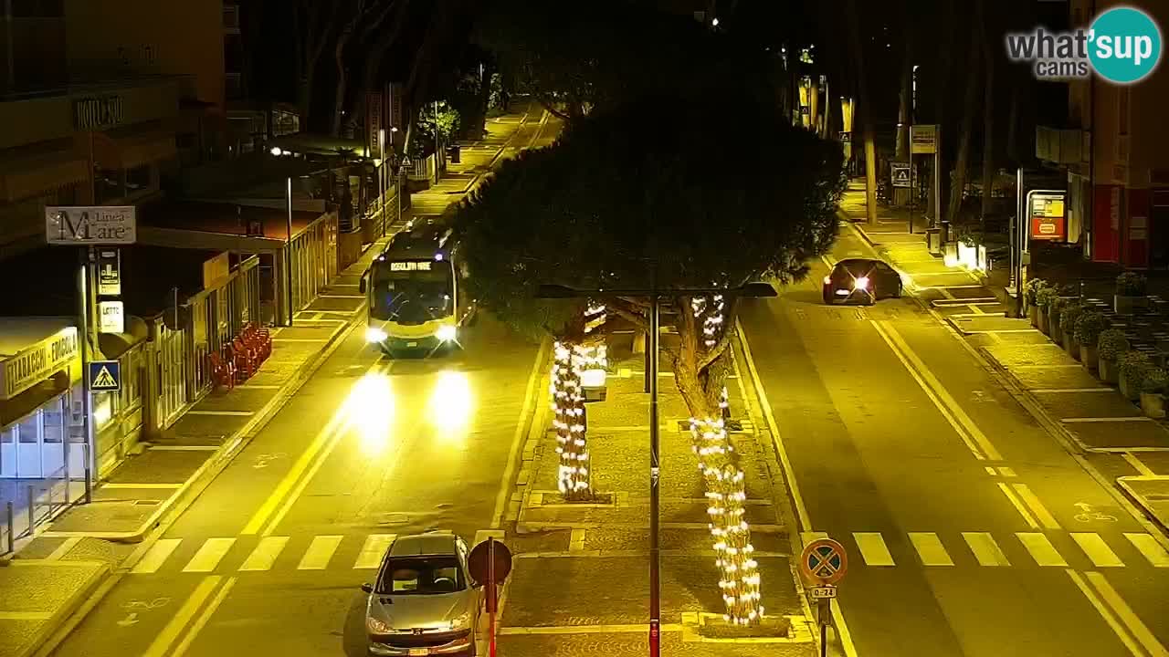 Camera en vivo Rosolina mare