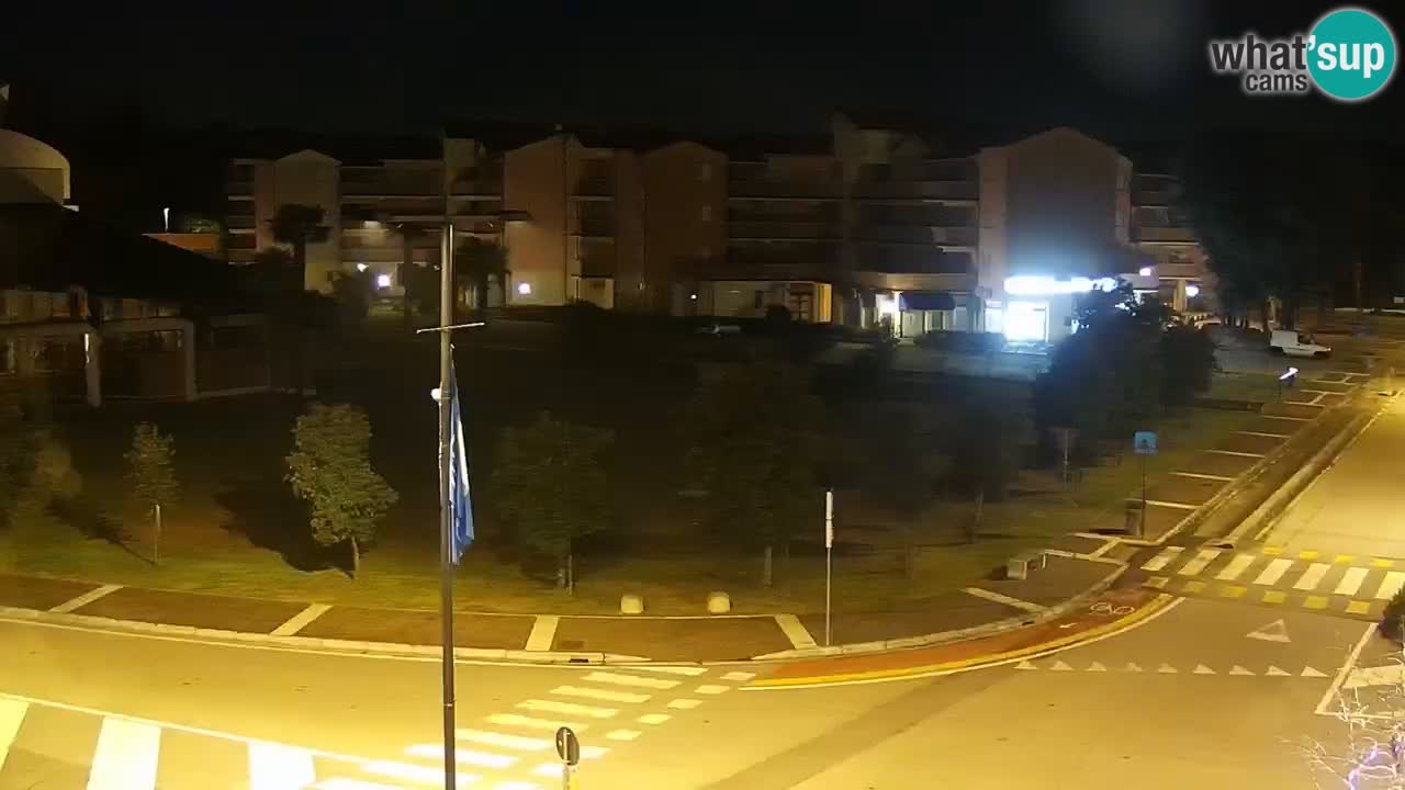 Camera en vivo Rosolina mare