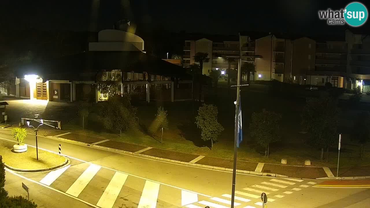 Livecam Rosolina mare