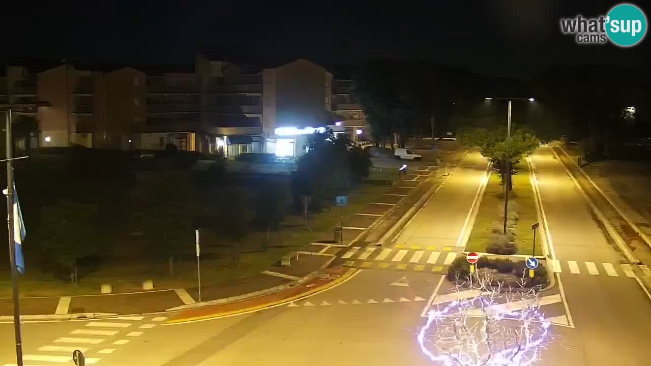 Livecam Rosolina mare