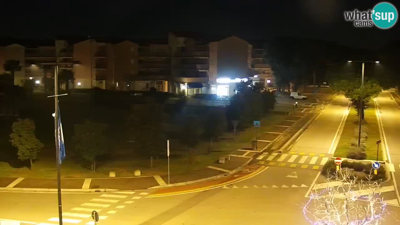 Camera en vivo Rosolina mare