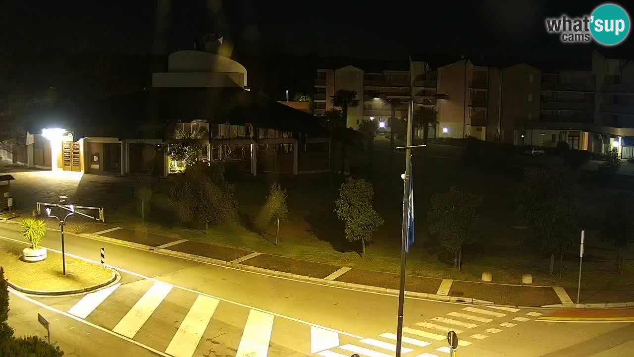 Livecam Rosolina mare