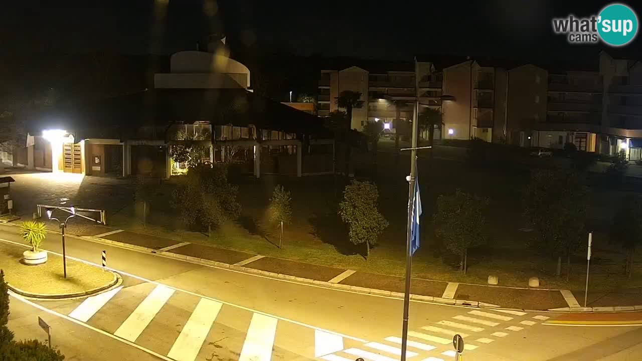 Camera en vivo Rosolina mare