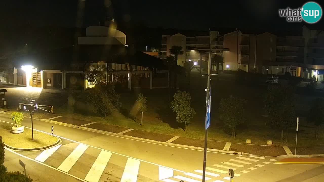 Livecam Rosolina mare