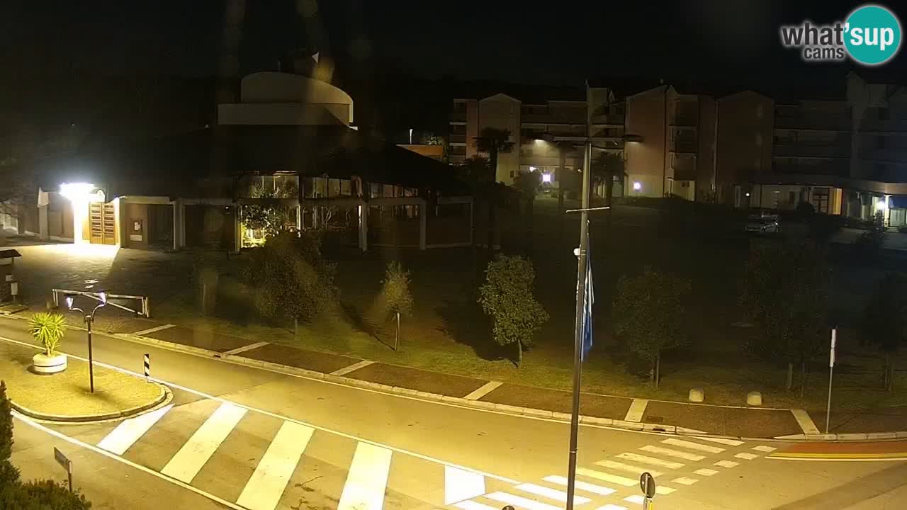 Camera en vivo Rosolina mare