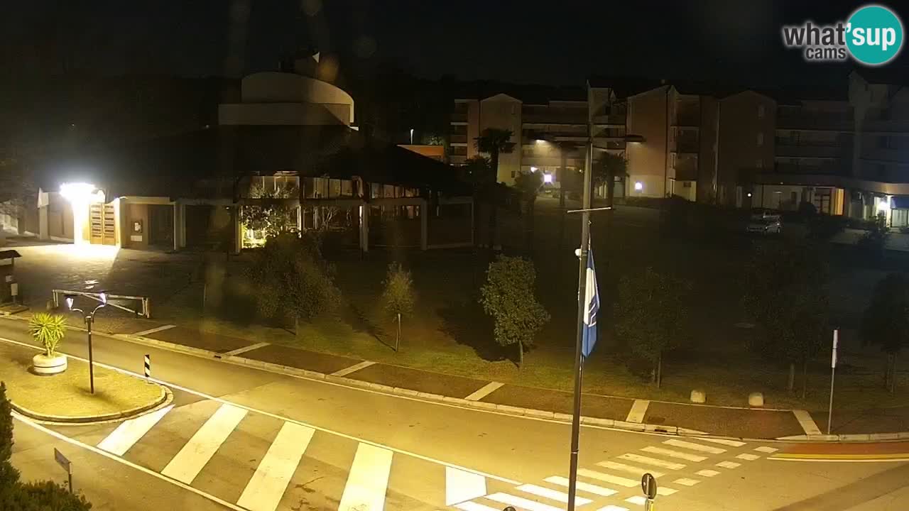 Camera en vivo Rosolina mare