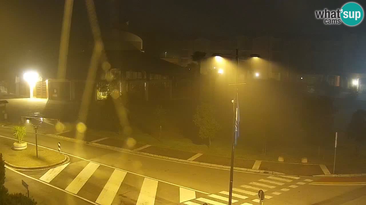 Livecam Rosolina mare