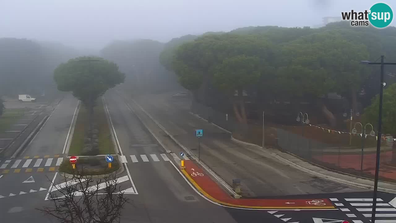 Livecam Rosolina mare