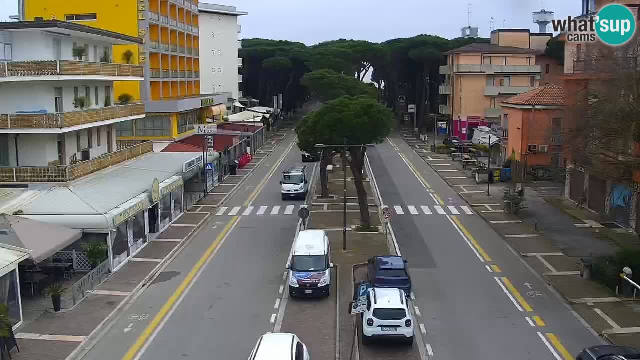 Livecam Rosolina mare