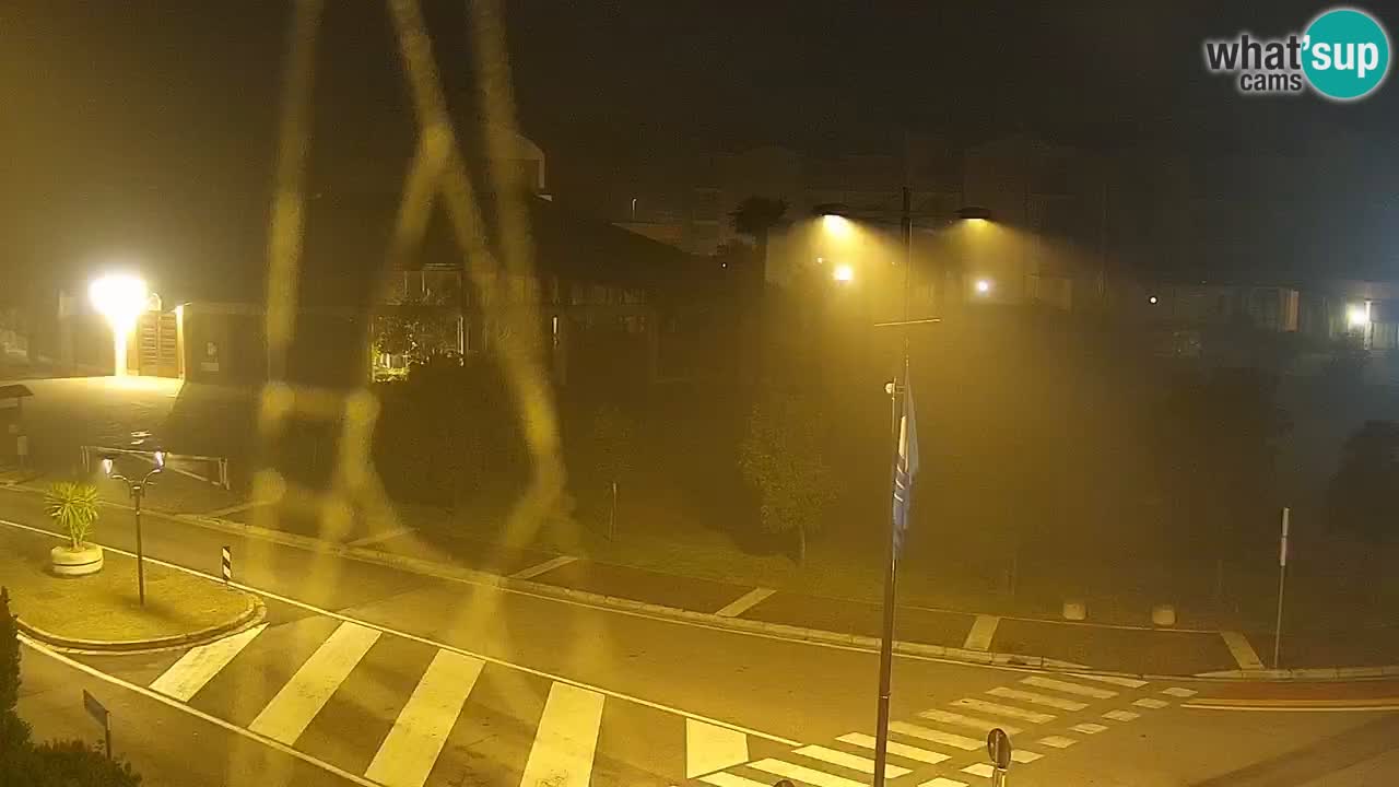 Camera en vivo Rosolina mare