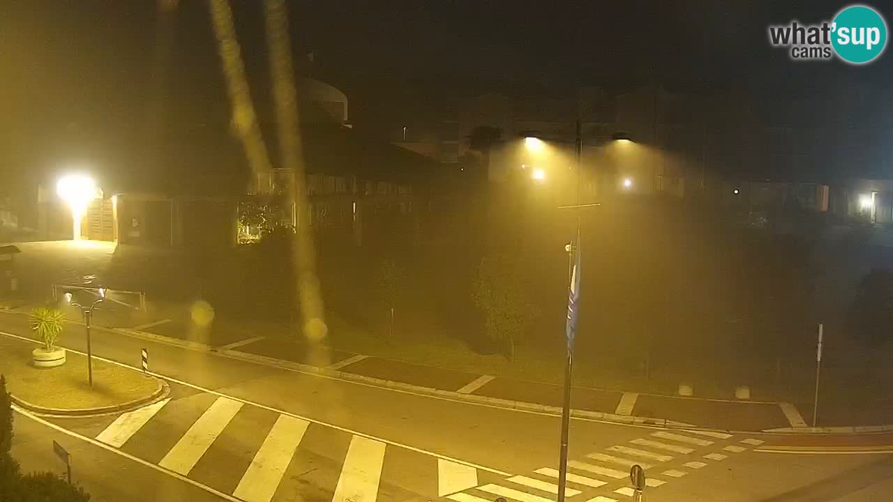 Camera en vivo Rosolina mare