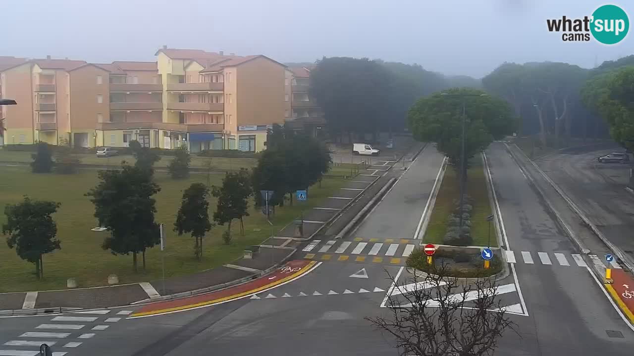 Camera en vivo Rosolina mare