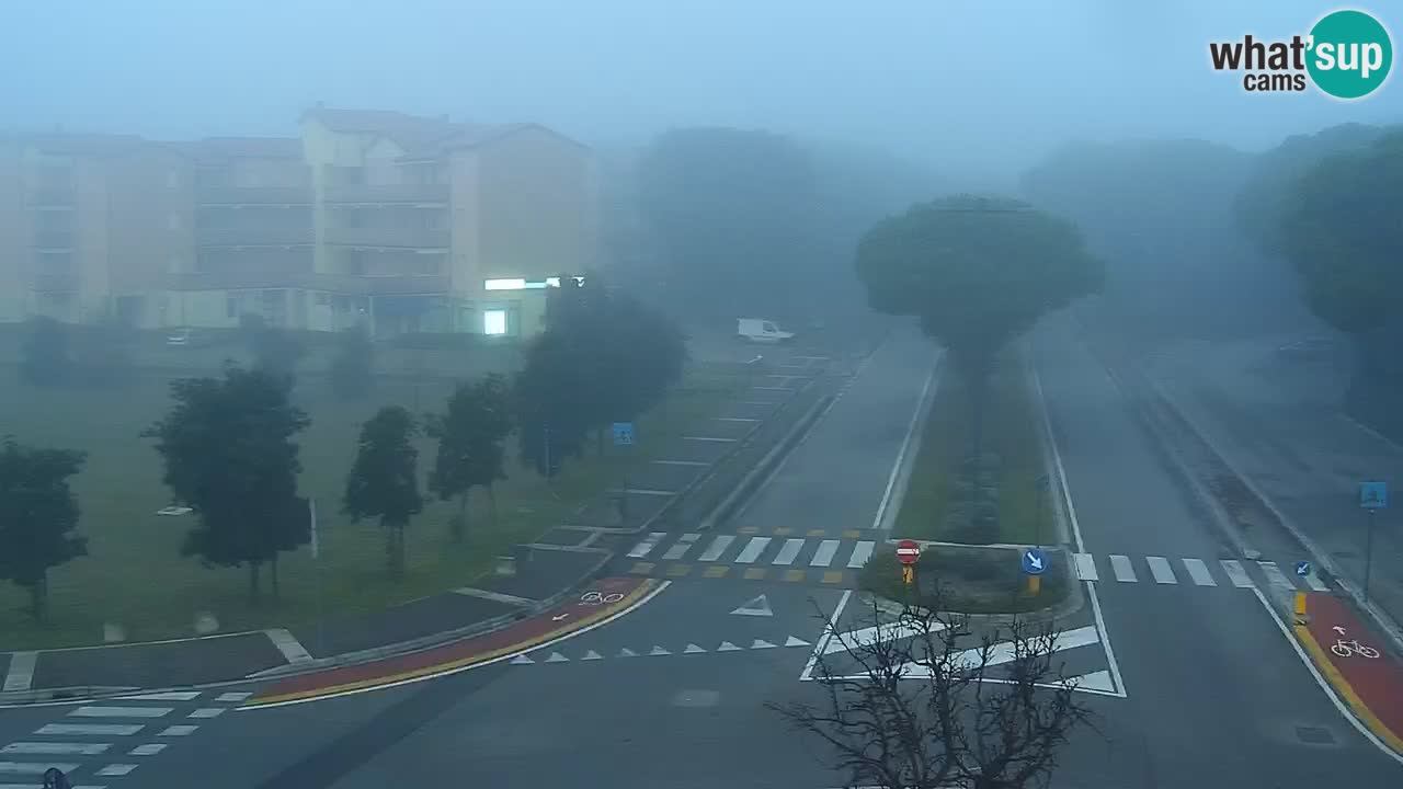 Camera en vivo Rosolina mare