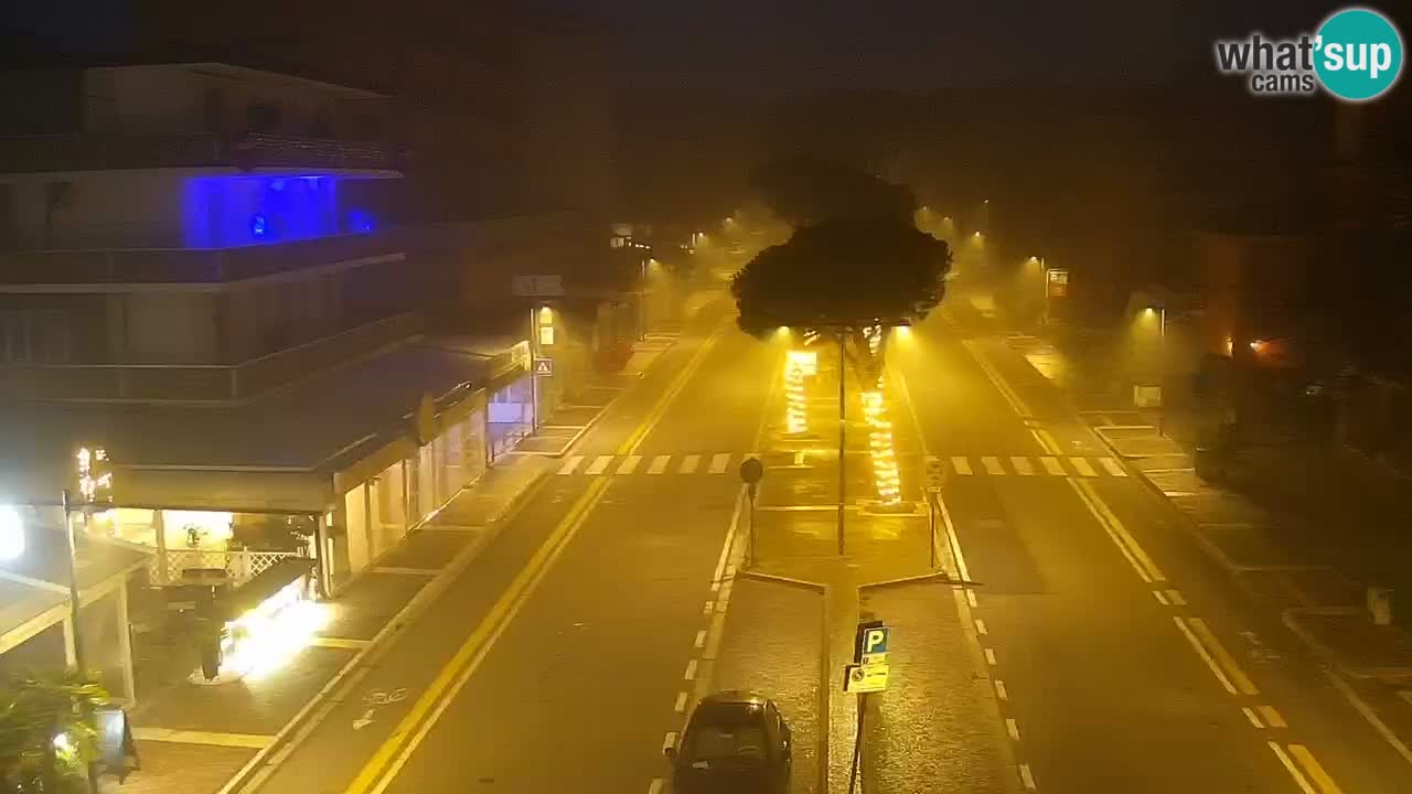 Camera en vivo Rosolina mare