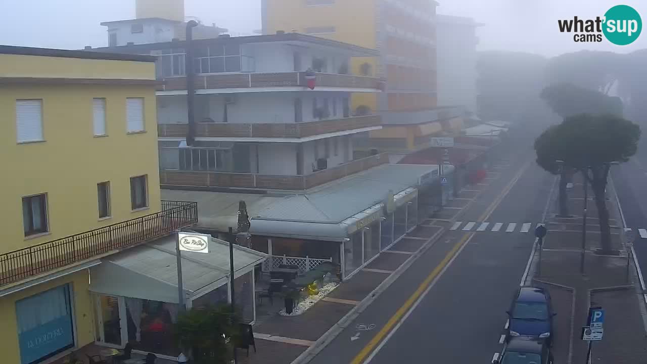 Camera en vivo Rosolina mare