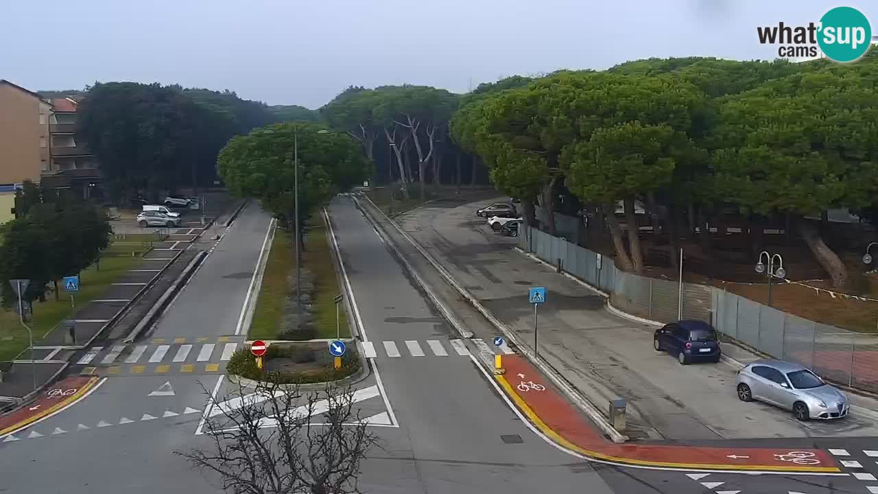 Web kamera Rosolina mare