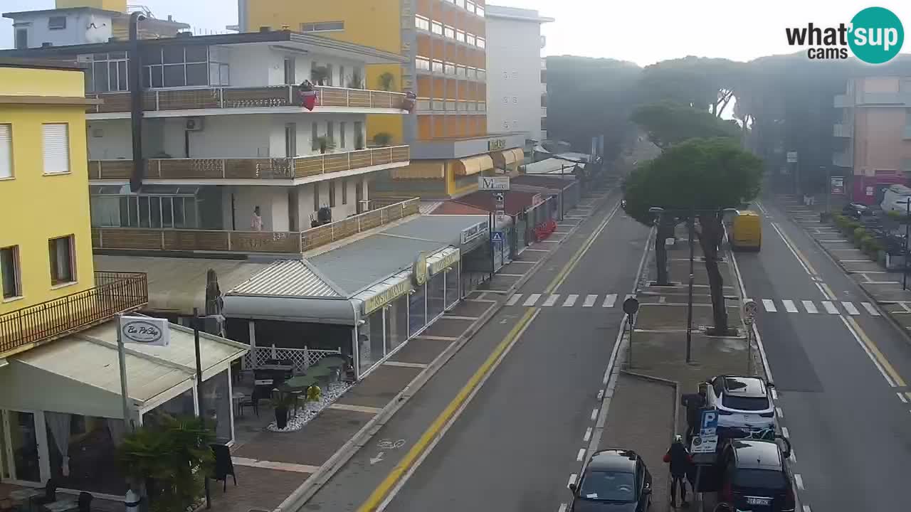 Camera en vivo Rosolina mare