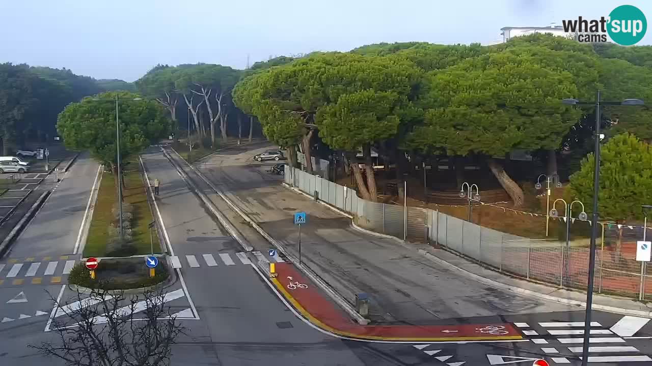 Livecam Rosolina mare