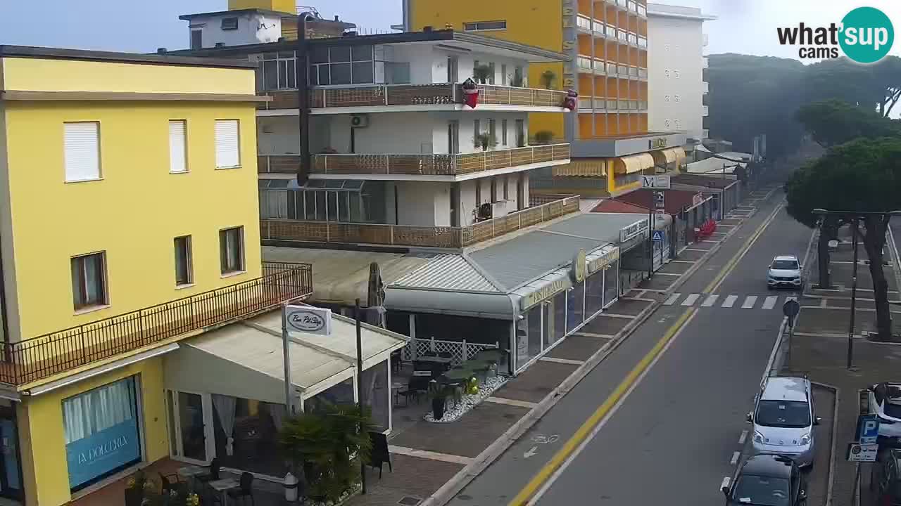 Camera en vivo Rosolina mare