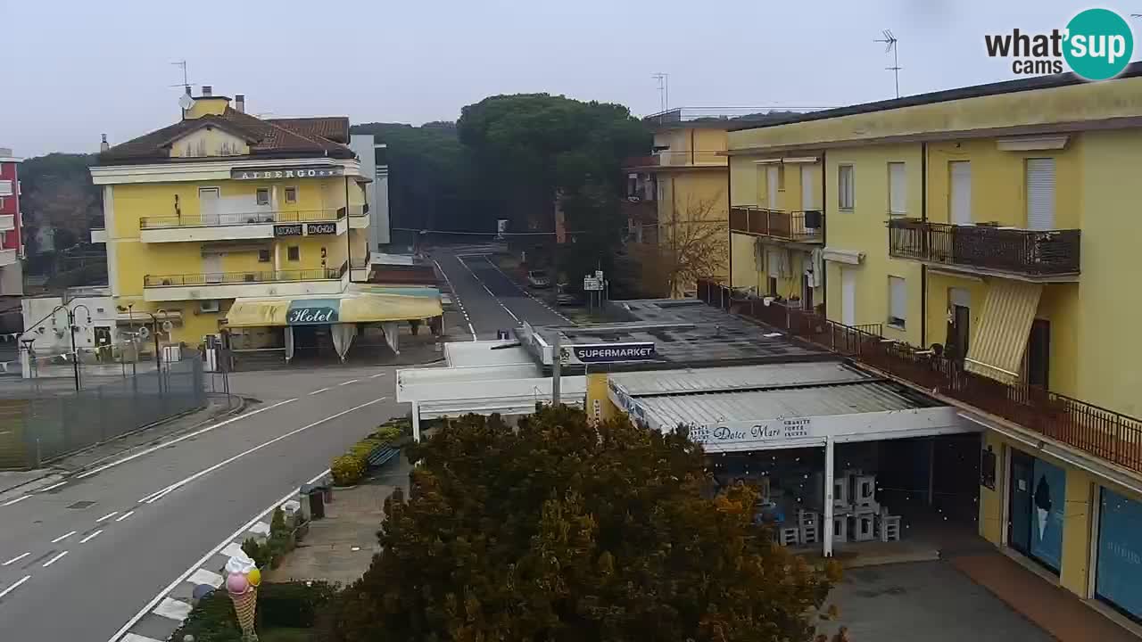 Camera en vivo Rosolina mare