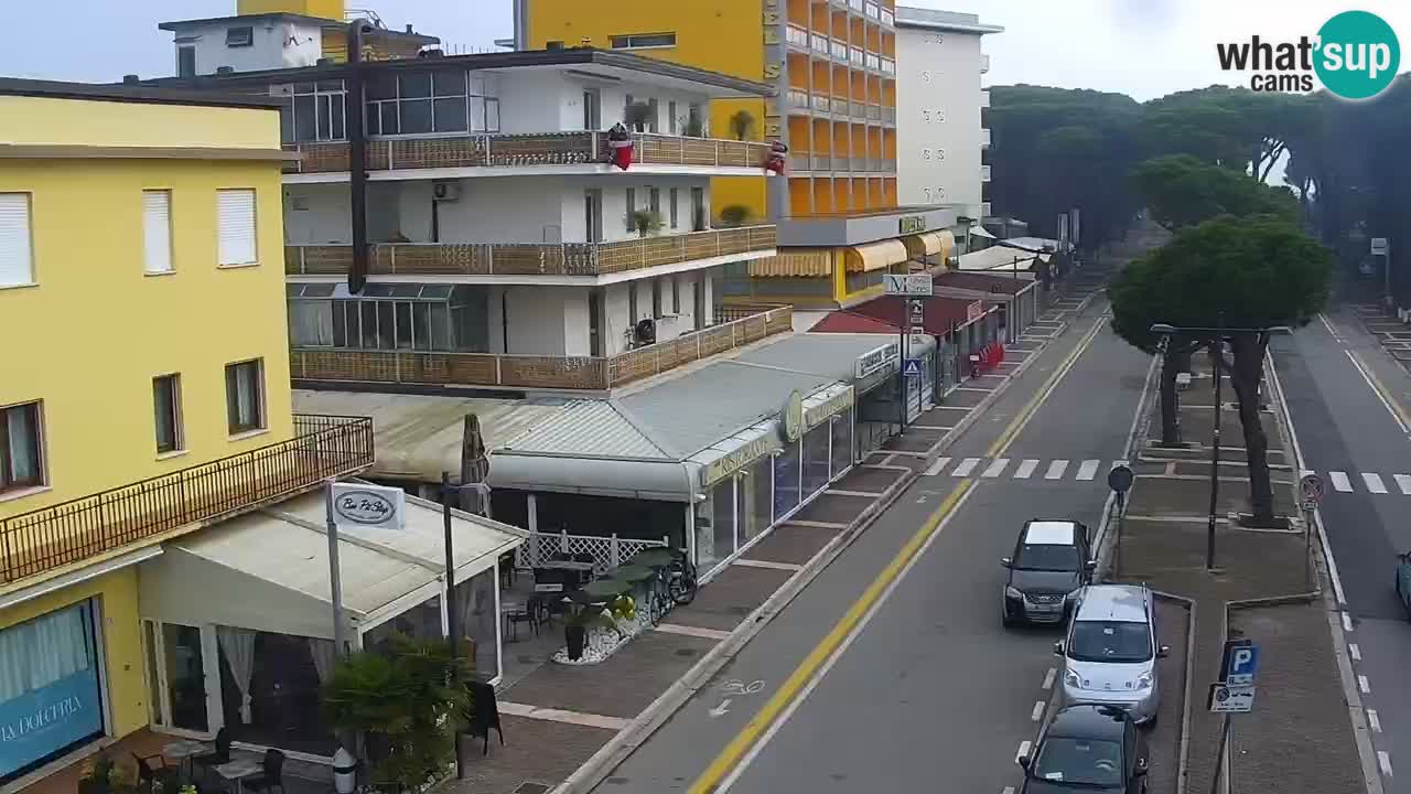 Camera en vivo Rosolina mare