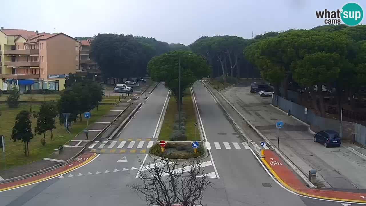 Camera en vivo Rosolina mare