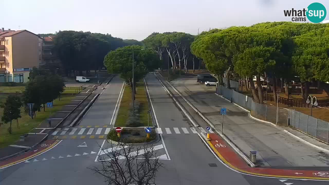 Livecam Rosolina mare