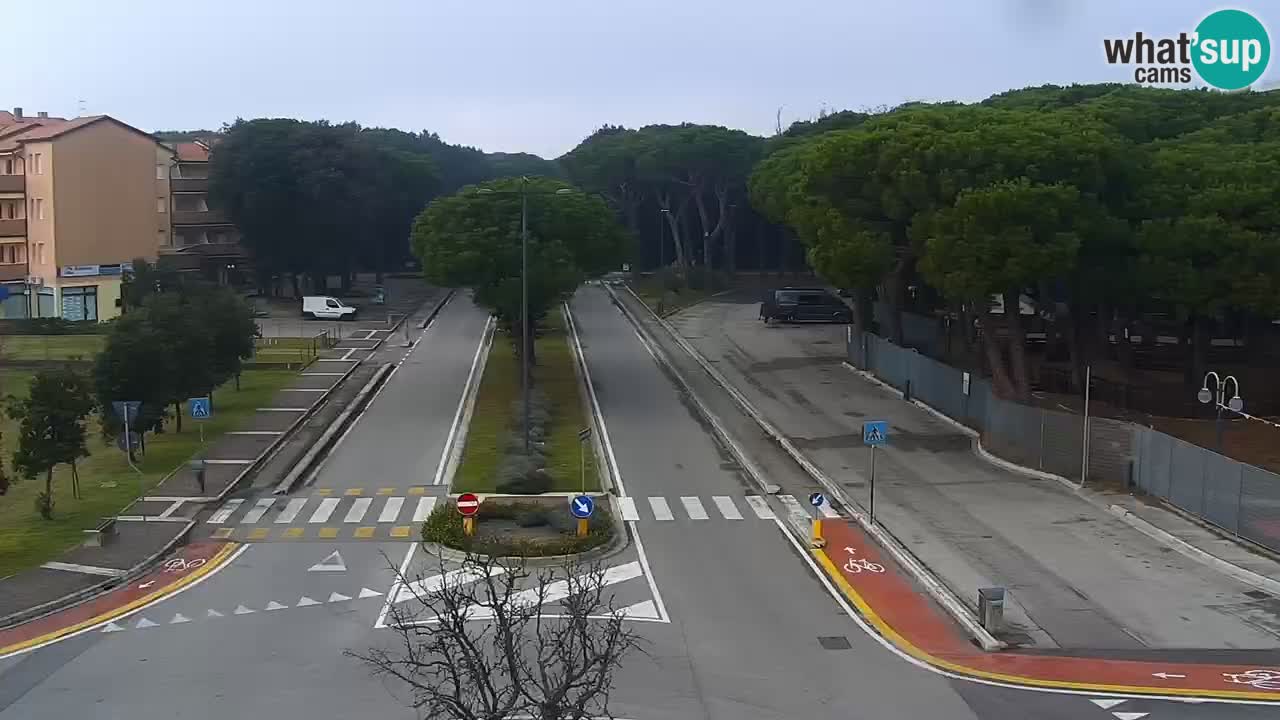 Livecam Rosolina mare