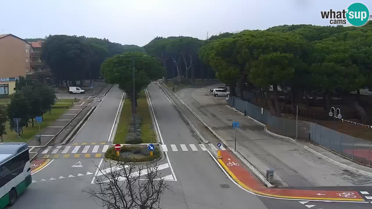 Camera en vivo Rosolina mare