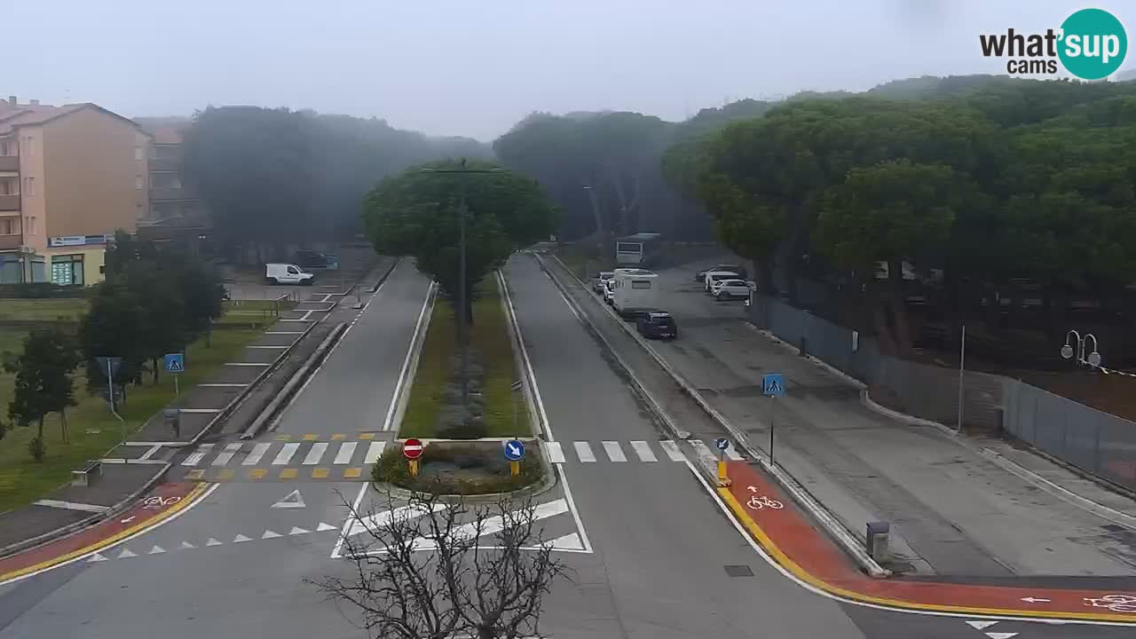 Livecam Rosolina mare