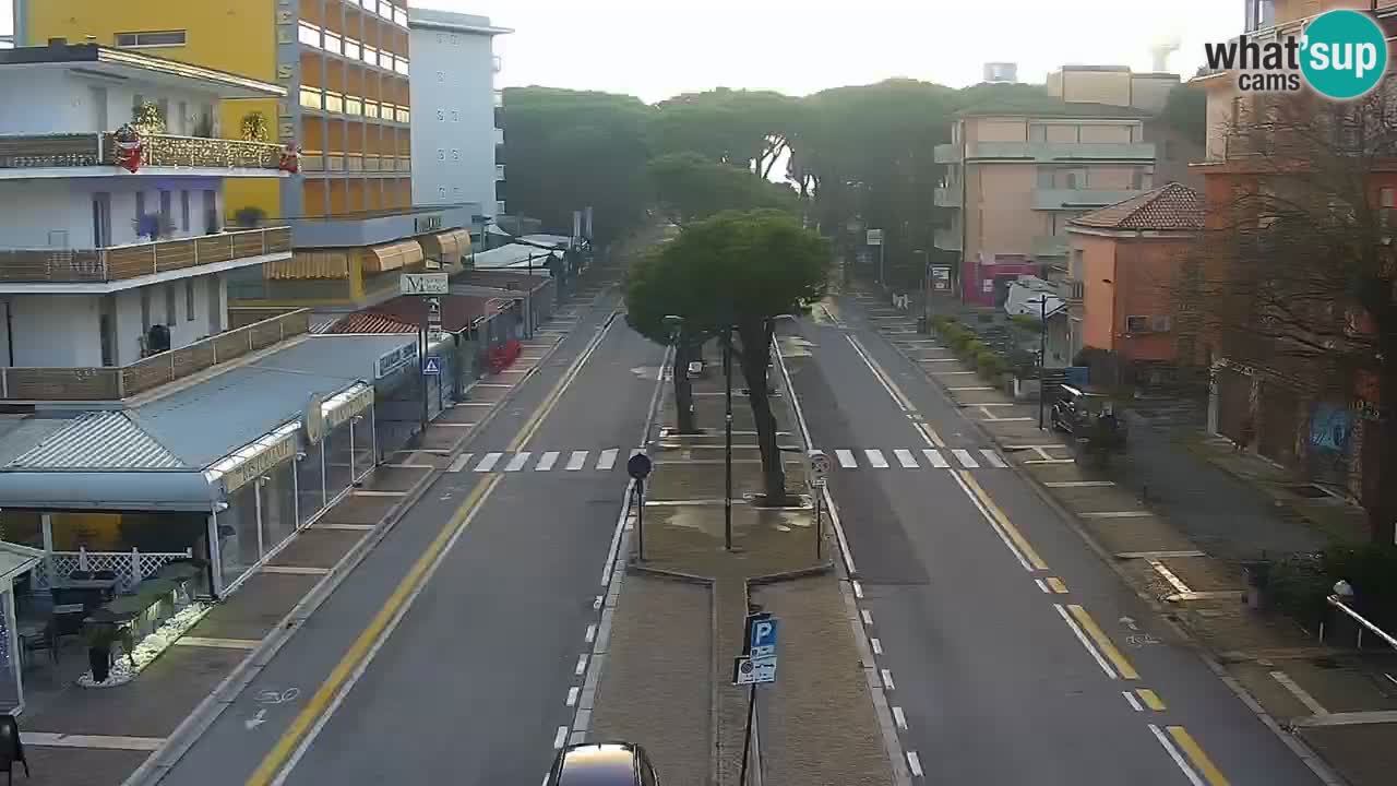 Camera en vivo Rosolina mare