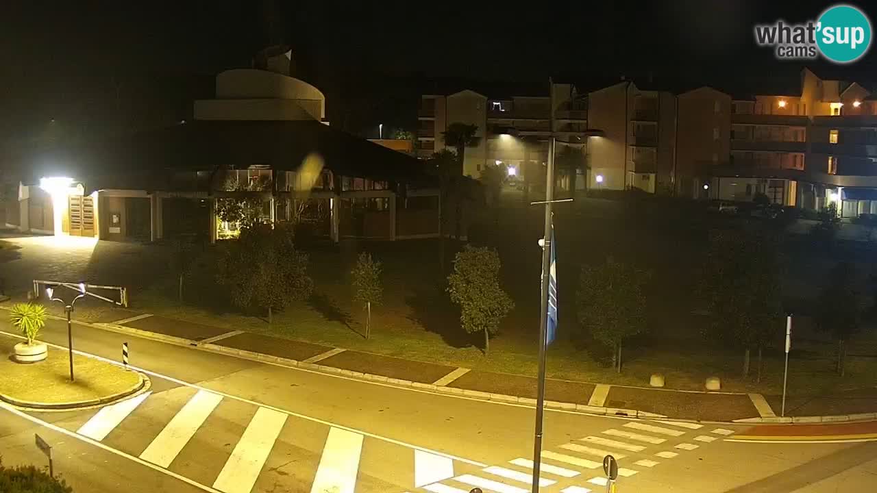 Livecam Rosolina mare