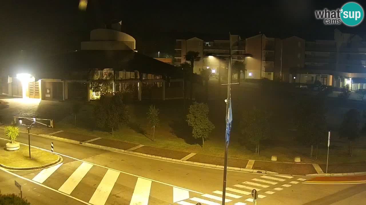 Camera en vivo Rosolina mare