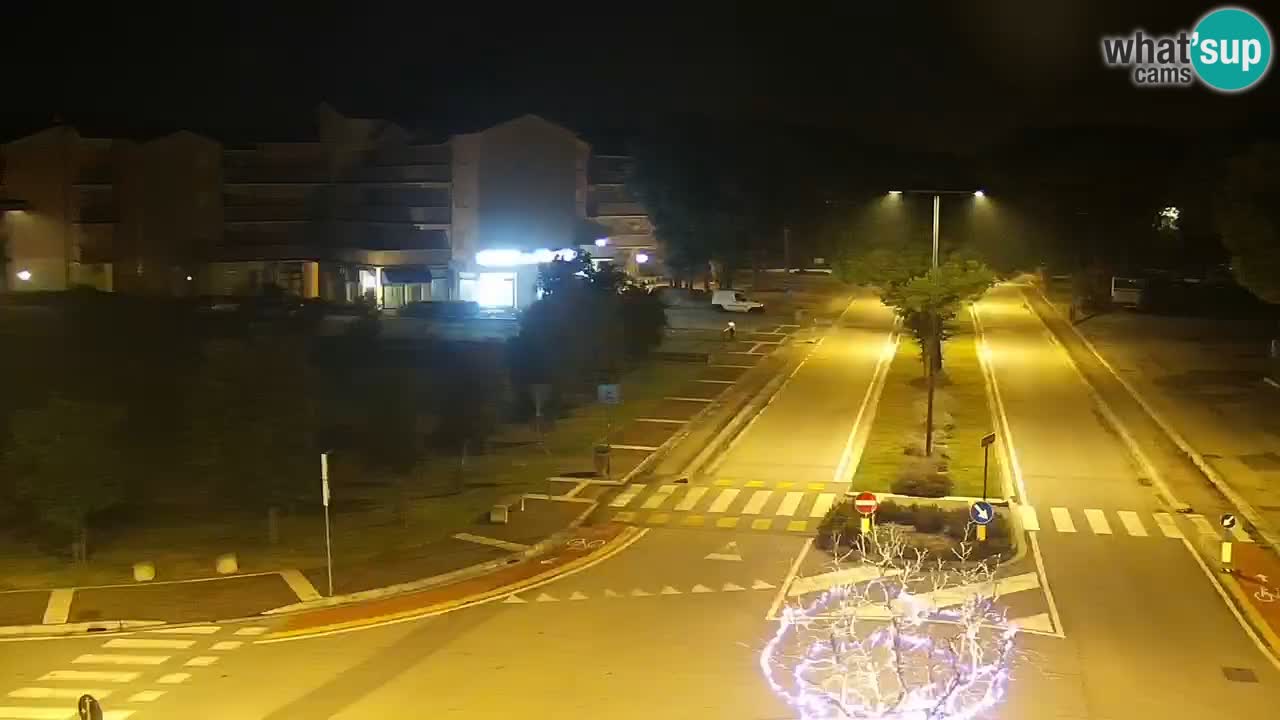 Livecam Rosolina mare