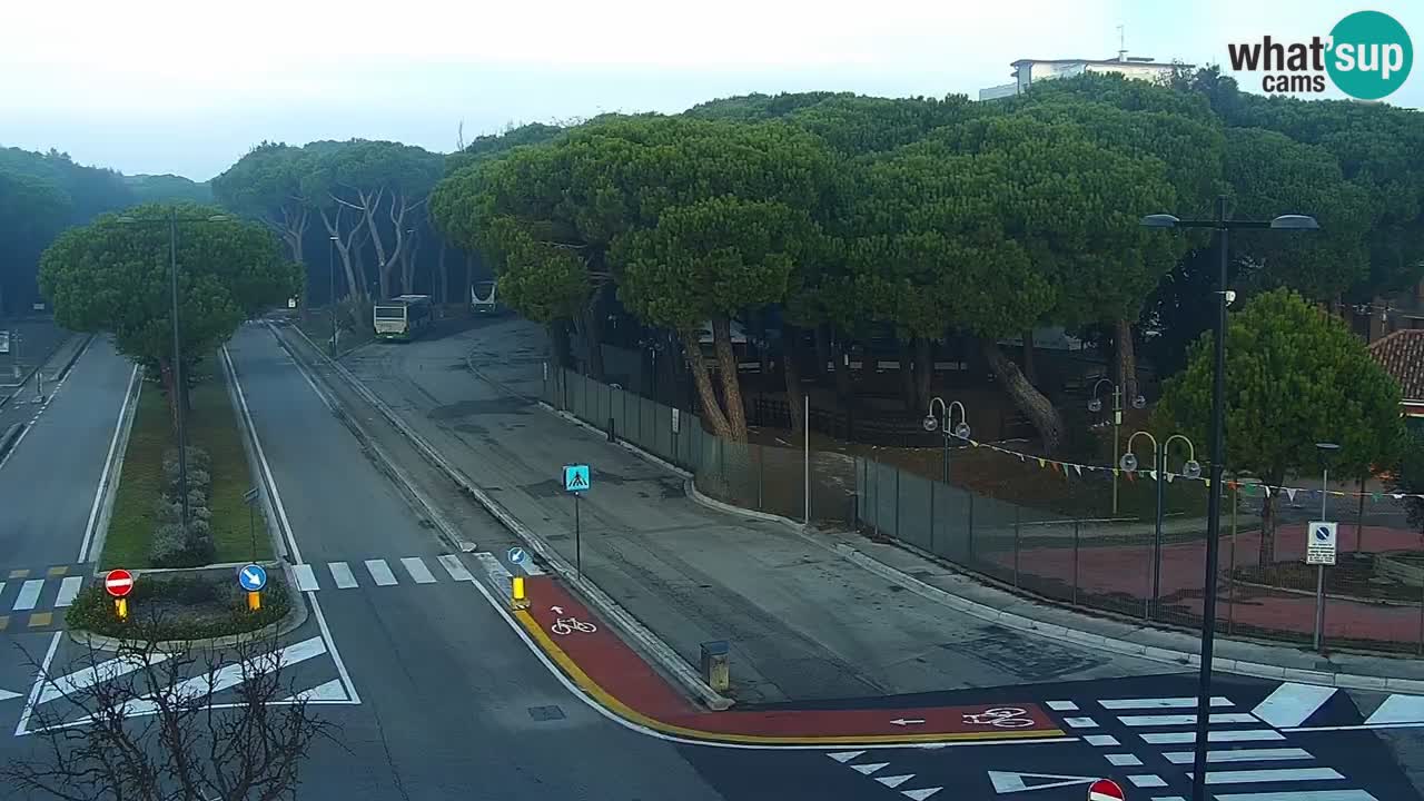 Camera en vivo Rosolina mare