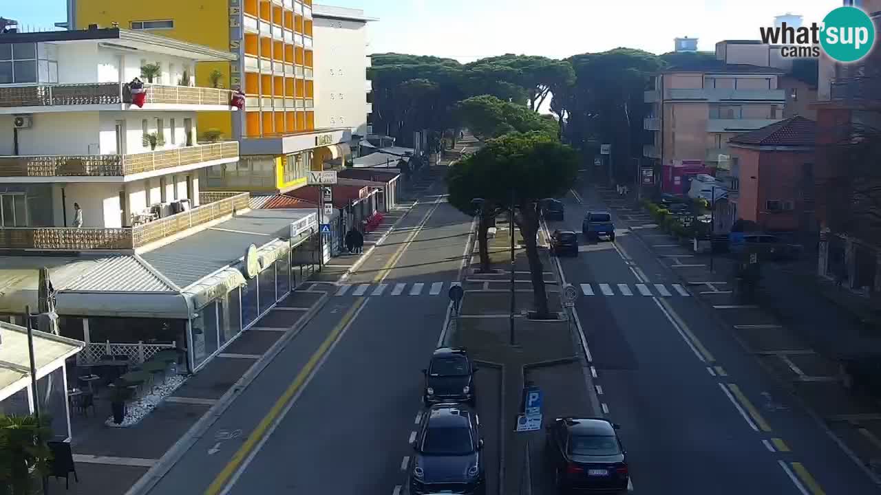 Camera en vivo Rosolina mare