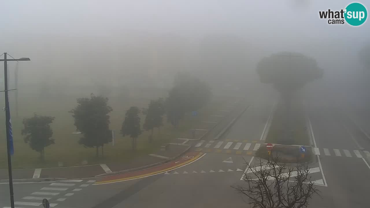 Camera en vivo Rosolina mare