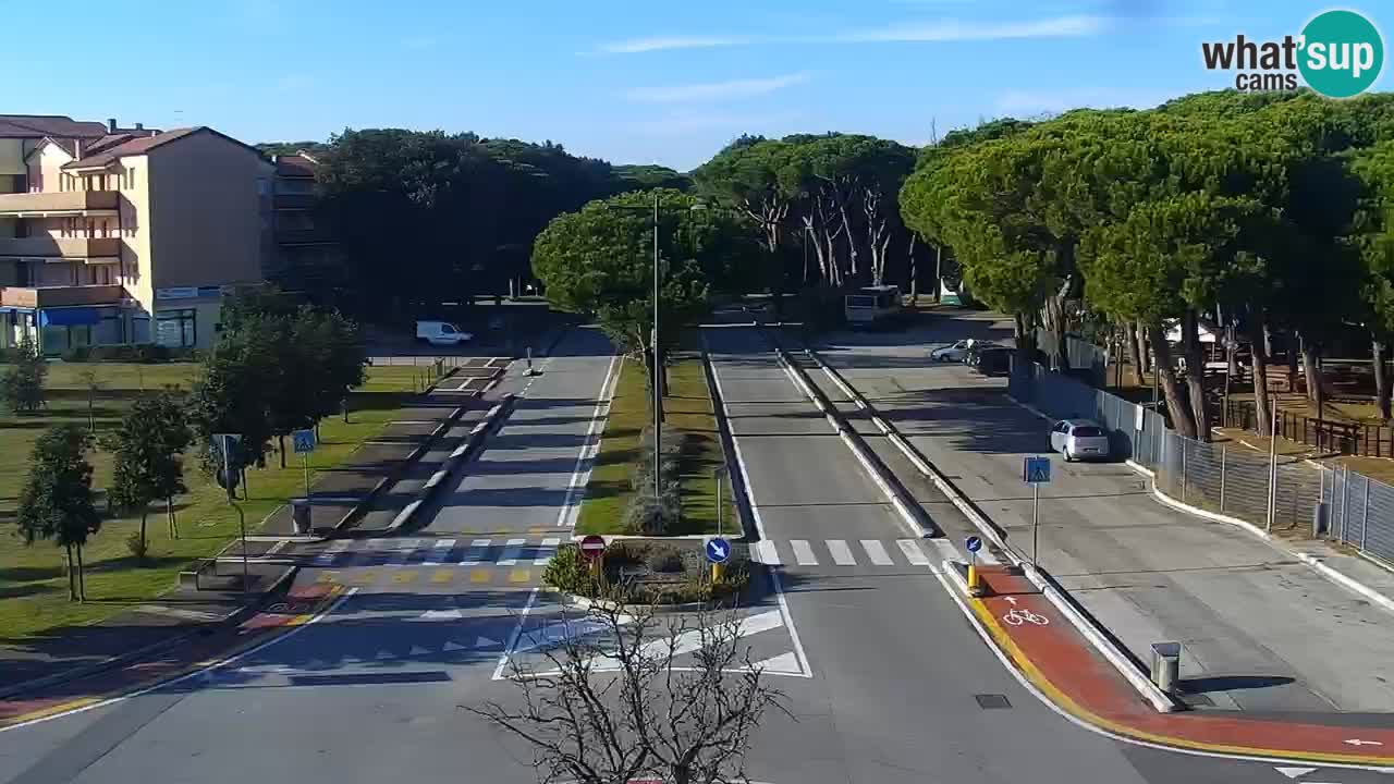 Livecam Rosolina mare