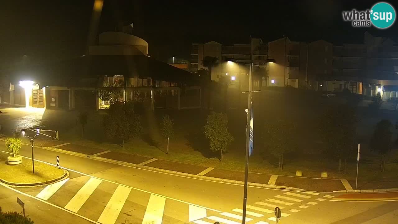 Camera en vivo Rosolina mare