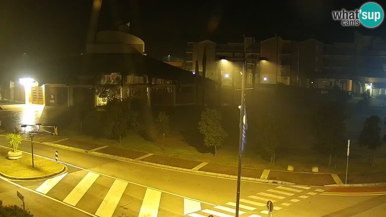 Livecam Rosolina mare