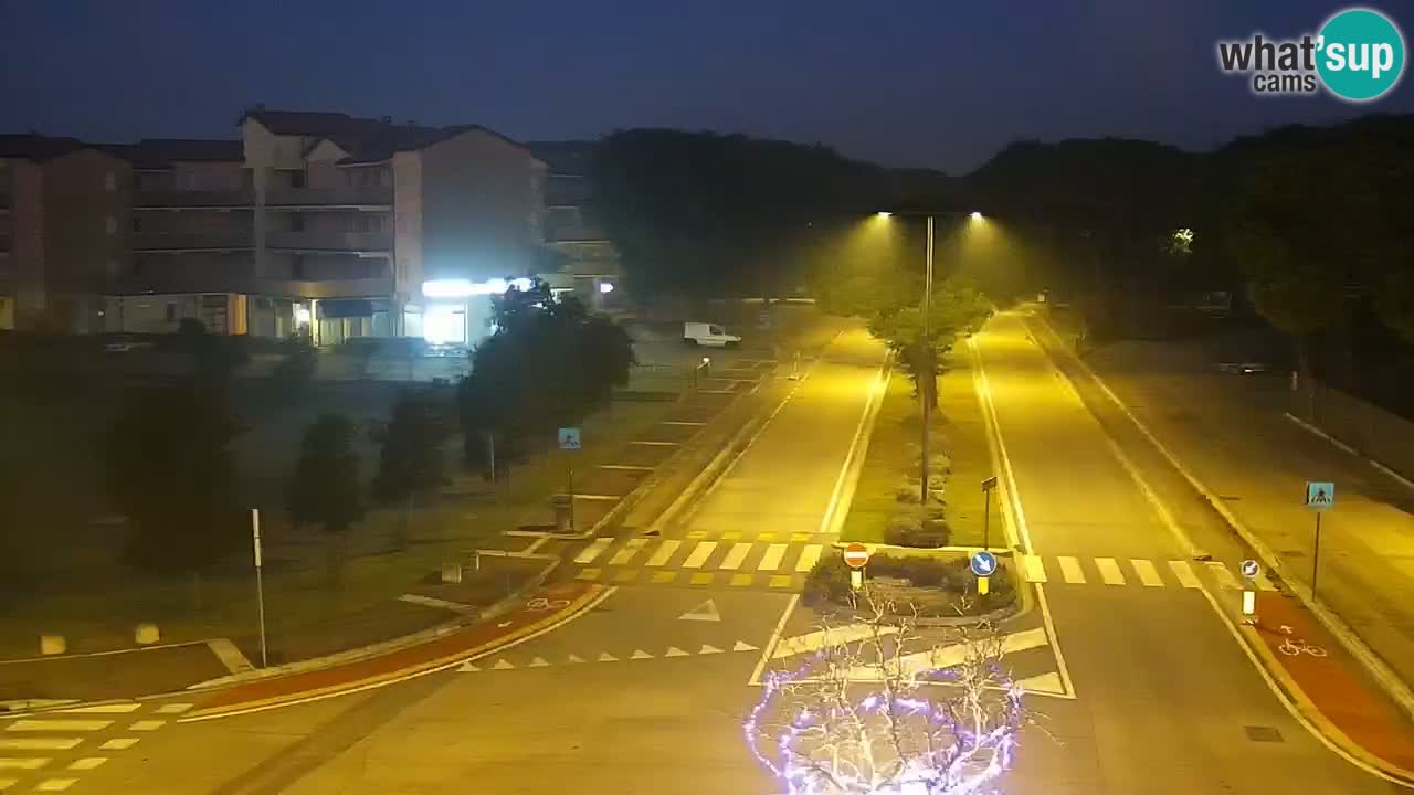 Livecam Rosolina mare