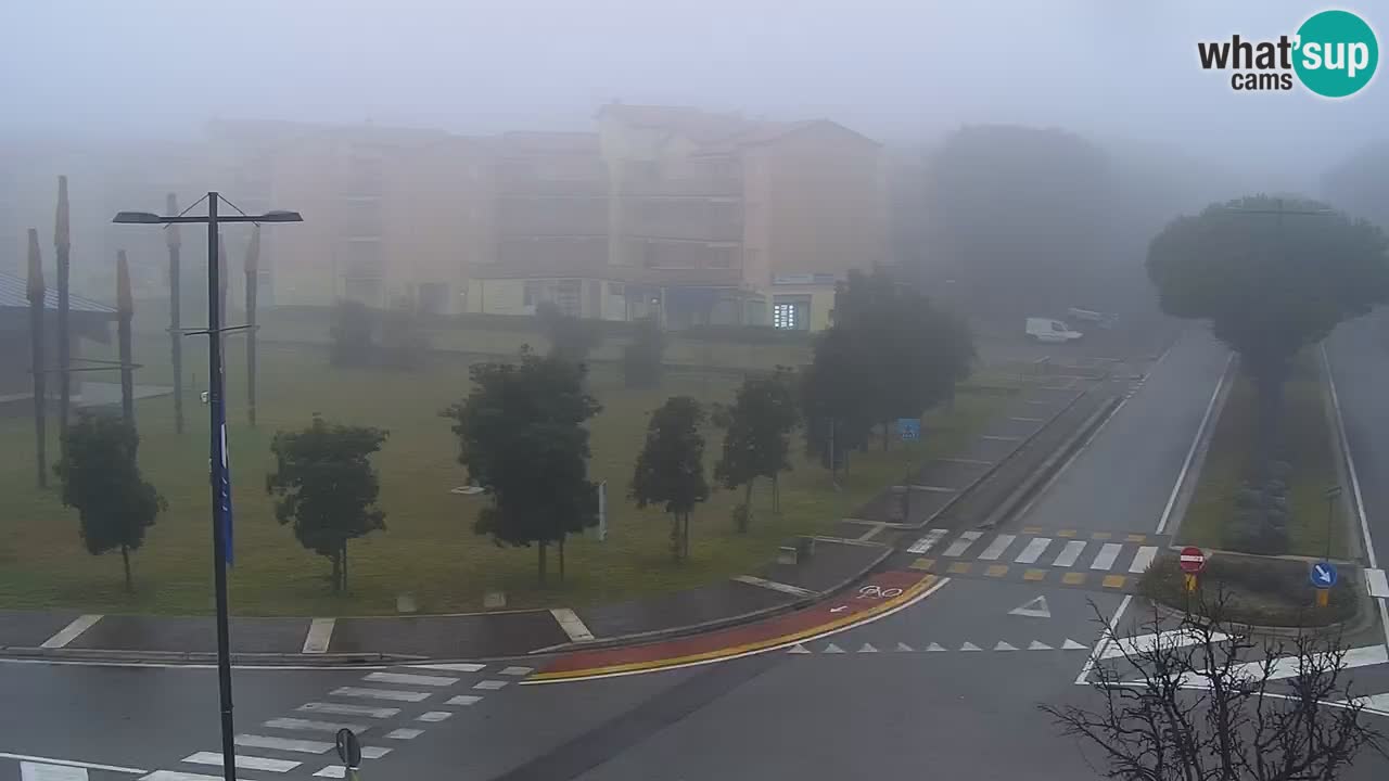 Livecam Rosolina mare