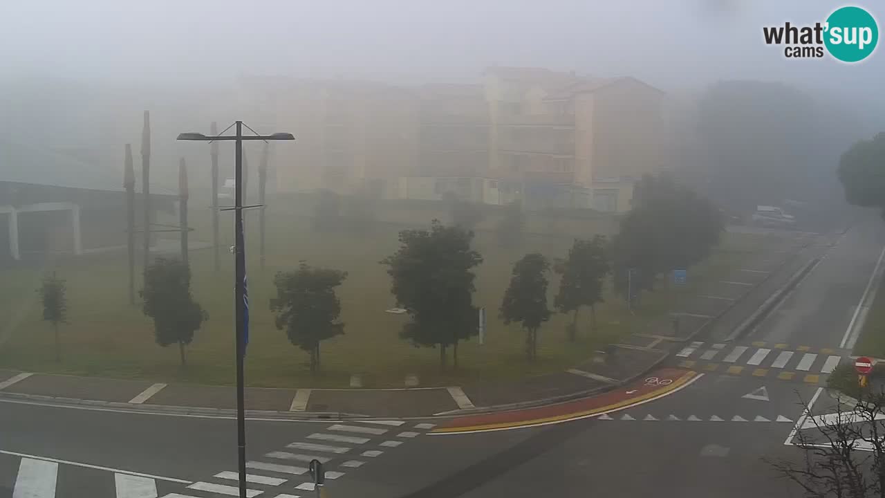 Livecam Rosolina mare