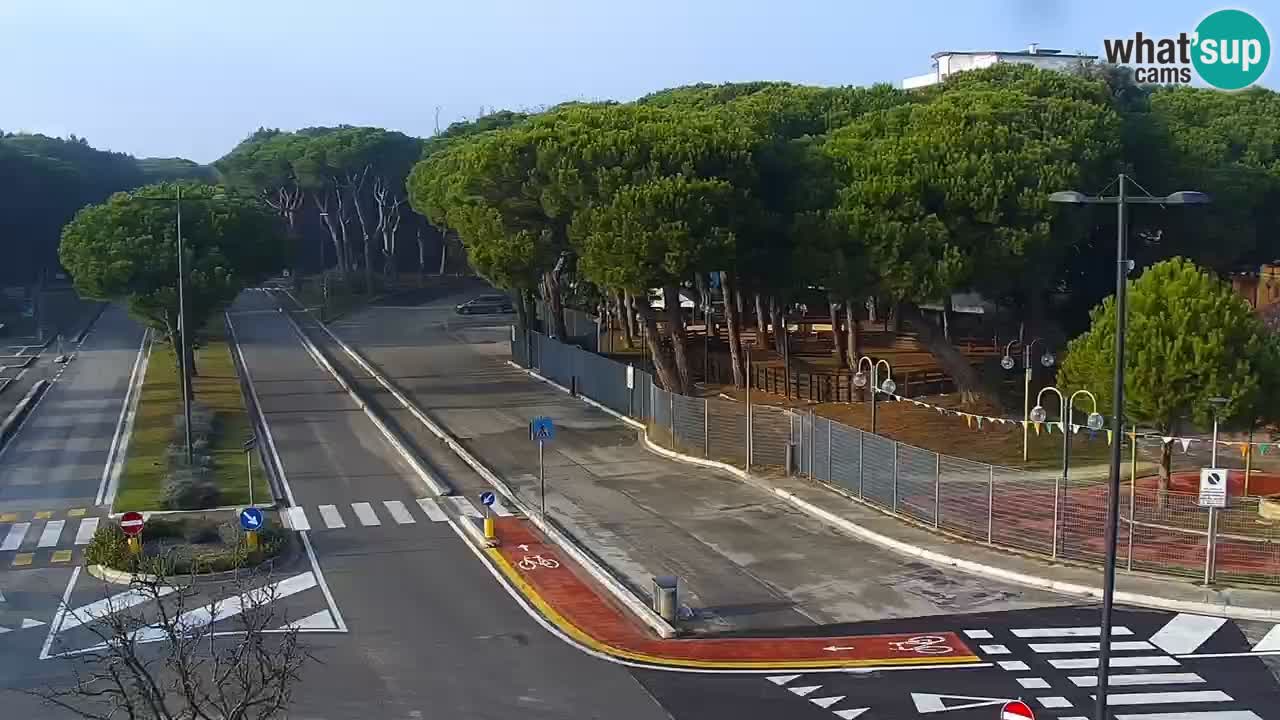 Livecam Rosolina mare