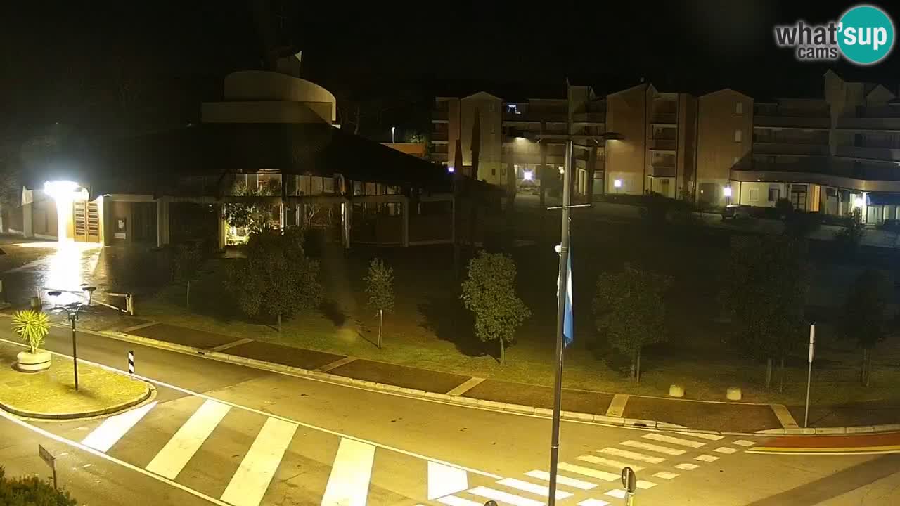 Livecam Rosolina mare