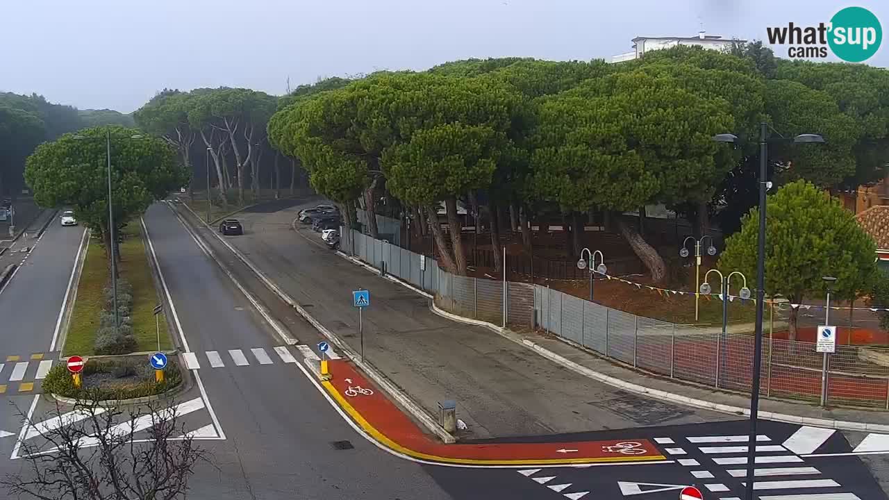 Web kamera Rosolina mare