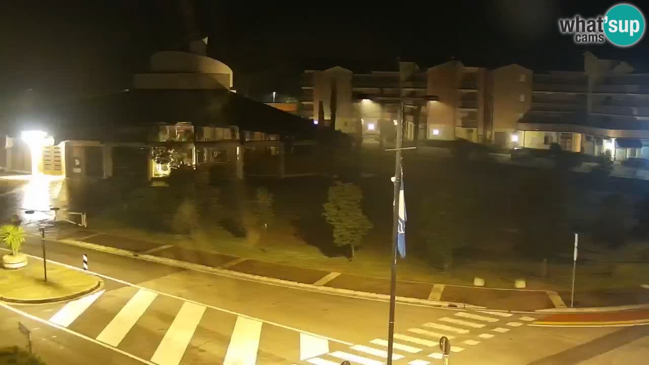 Camera en vivo Rosolina mare