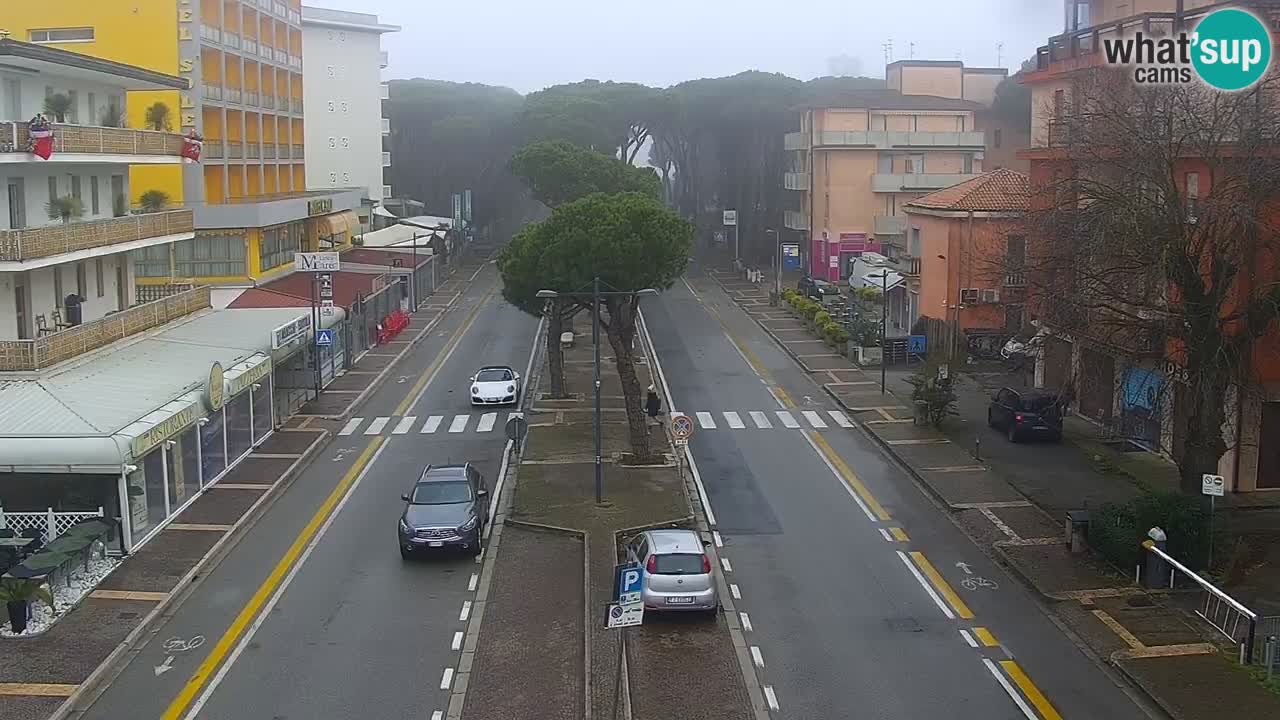 Camera en vivo Rosolina mare